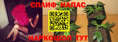 тгк Гусь-Хрустальный