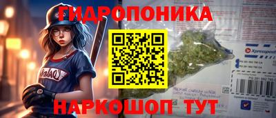 тгк Гусь-Хрустальный