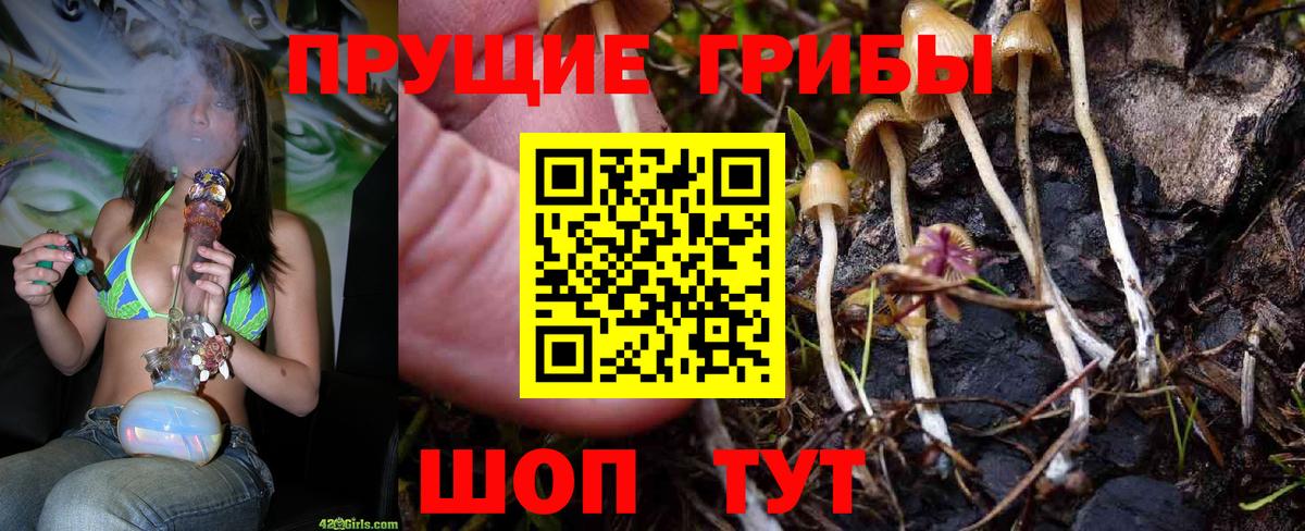 Галлюциногенные грибы мухоморы Мариинск
