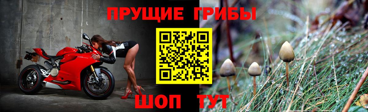 Псилоцибиновые грибы MAGIC MUSHROOMS  Псилоцибиновые грибы ЛСД  Мариинск  Вход с VPN 